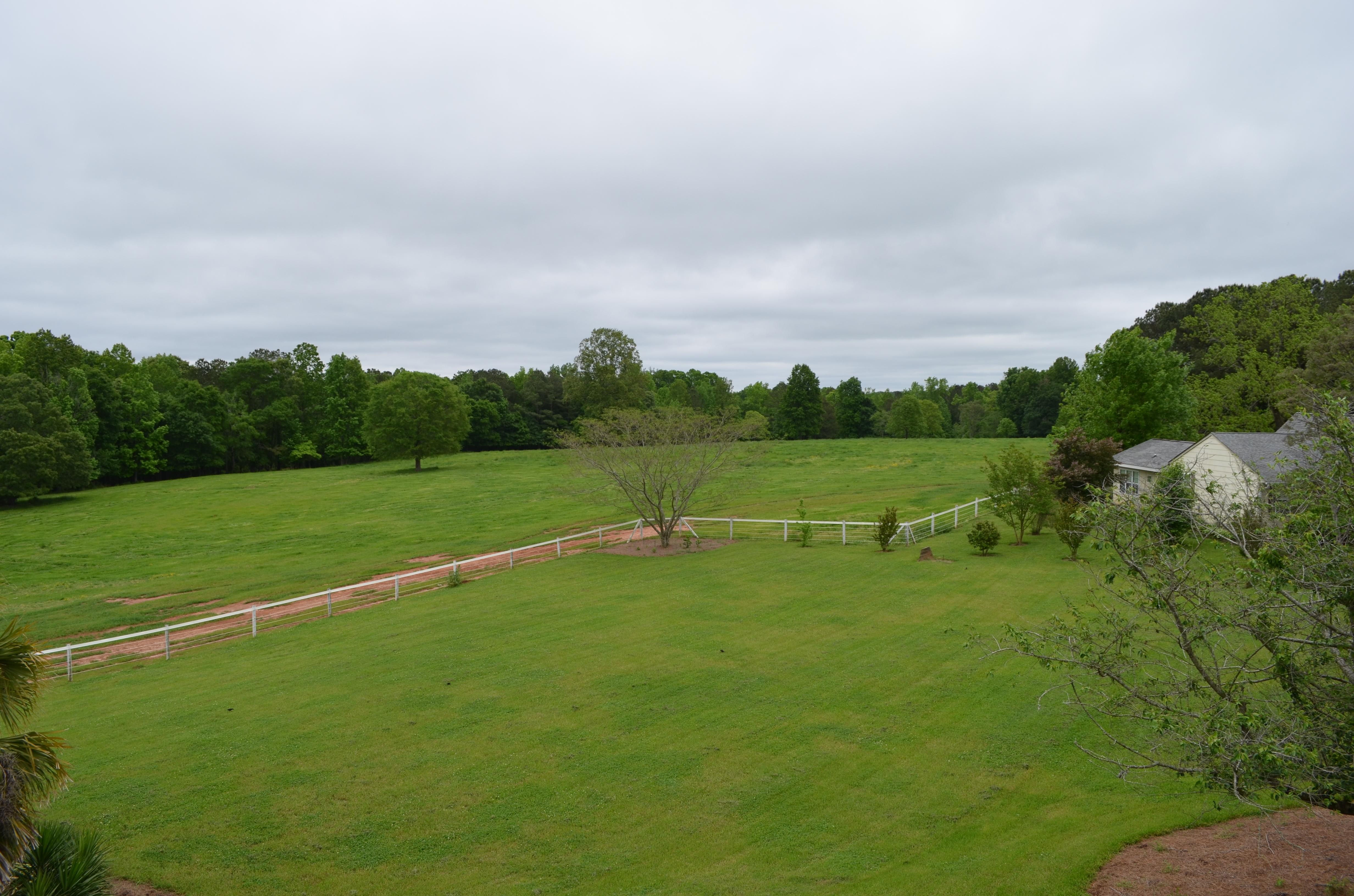 ./2013/Southern Cross Ranch/DSC_2255.JPG